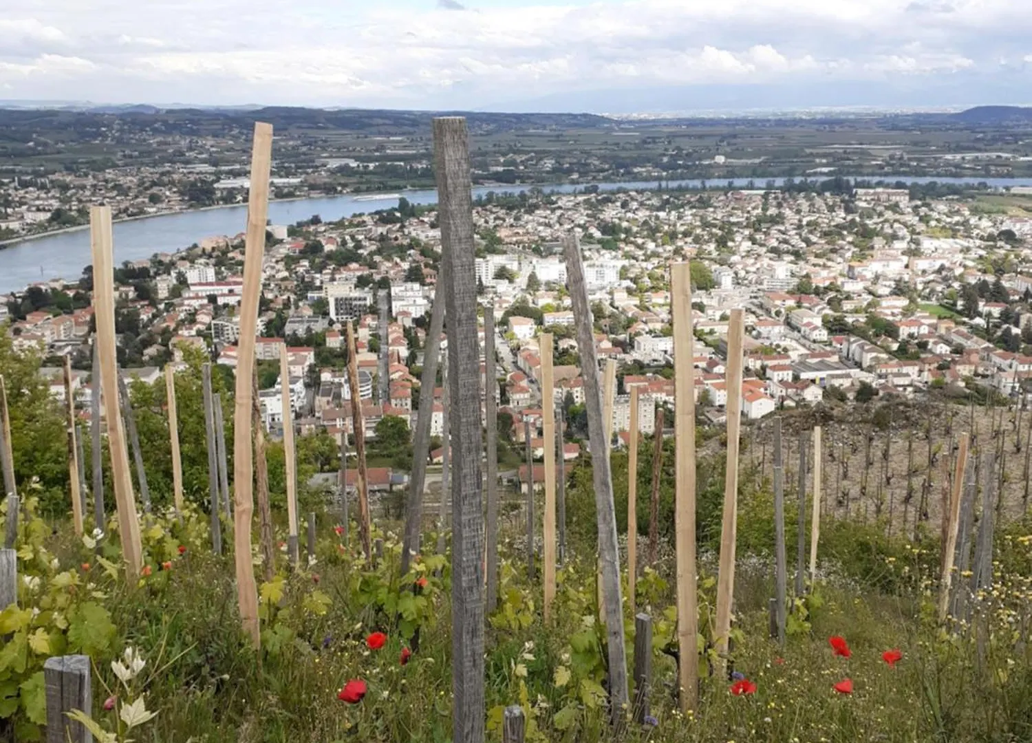 Gite Du Vigneron A La Terrasse Piscine Local Velos Tournon-sur-Rhone Hébergement de vacances